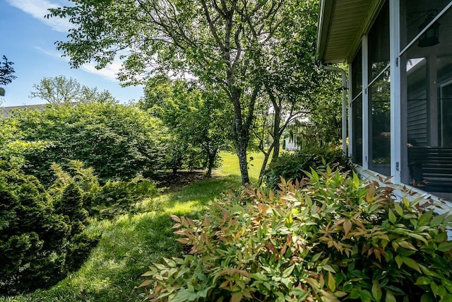404 3rd St, Grottoes, VA 24441 - view of yard