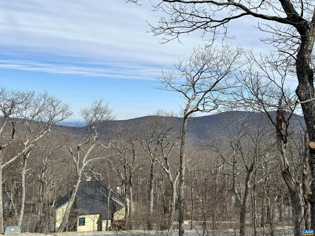 82 Pedlars Edge Dr, Wintergreen Resort, VA 22967 - photo 3