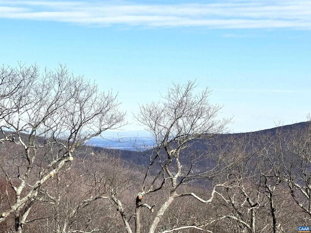82 Pedlars Edge Dr, Wintergreen Resort, VA 22967 - photo 2