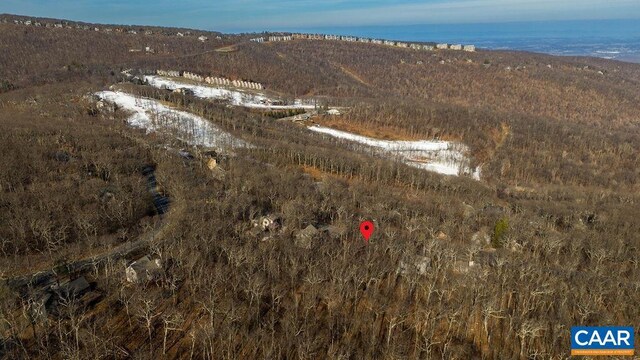 82 Pedlars Edge Dr, Wintergreen Resort, VA 22967 - photo 12