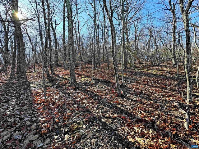 82 Pedlars Edge Dr, Wintergreen Resort, VA 22967 - photo 5