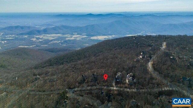 82 Pedlars Edge Dr, Wintergreen Resort, VA 22967 - photo 11