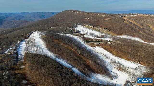 82 Pedlars Edge Dr, Wintergreen Resort, VA 22967 - photo 13