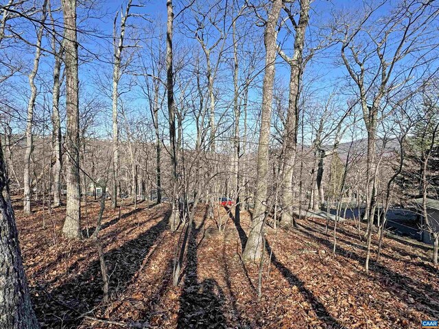82 Pedlars Edge Dr, Wintergreen Resort, VA 22967 - photo 6