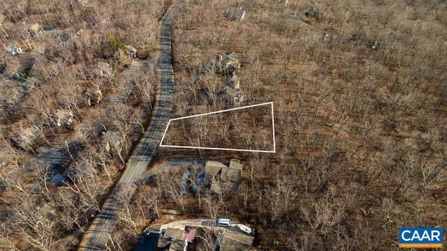82 Pedlars Edge Dr, Wintergreen Resort, VA 22967 - photo 8