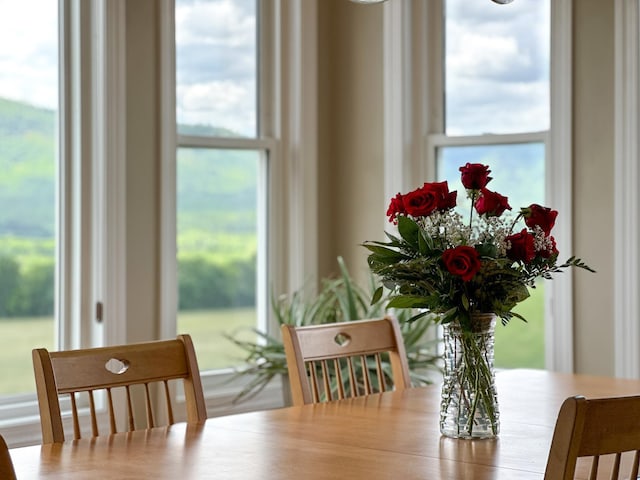 603 Dabneys Rd, Raphine, VA 24472 - dining space with a healthy amount of sunlight