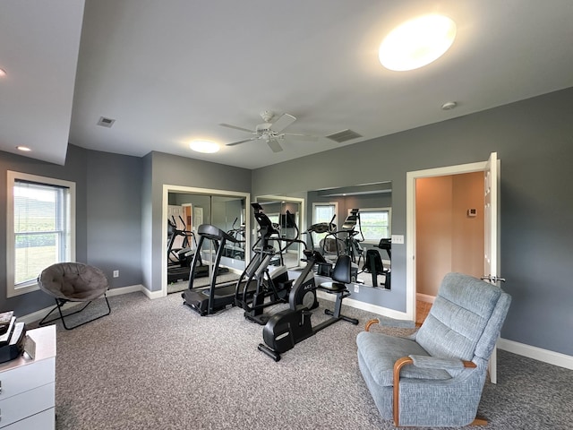 603 Dabneys Rd, Raphine, VA 24472 - workout area with carpet flooring, a wealth of natural light, baseboards, and a ceiling fan
