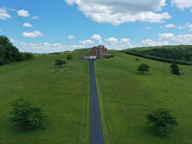 603 Dabneys Rd, Raphine, VA 24472 - view of yard with a rural view and driveway