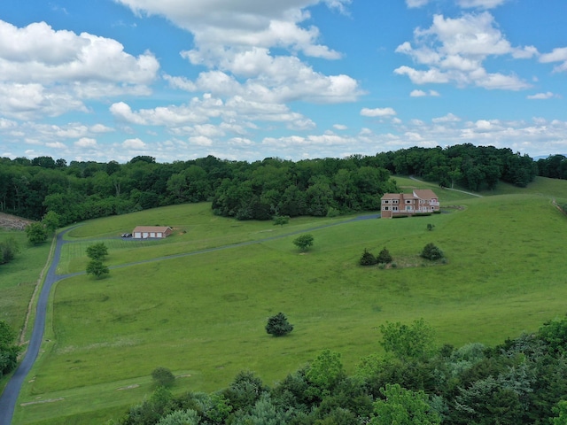 603 Dabneys Rd, Raphine, VA 24472 - aerial view featuring a wooded view and a rural view