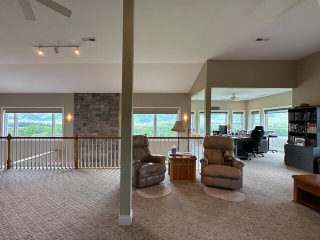 603 Dabneys Rd, Raphine, VA 24472 - carpeted living room with ceiling fan, rail lighting, plenty of natural light, and visible vents