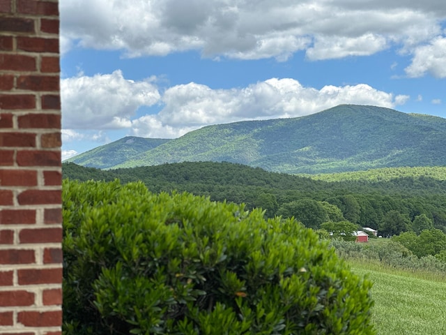 603 Dabneys Rd, Raphine, VA 24472 - property view of mountains