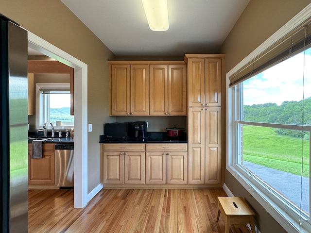 603 Dabneys Rd, Raphine, VA 24472 - kitchen featuring stainless steel appliances, dark countertops, and light wood-style floors
