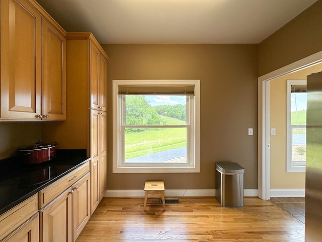 603 Dabneys Rd, Raphine, VA 24472 - interior space with light wood-type flooring, baseboards, dark countertops, and plenty of natural light