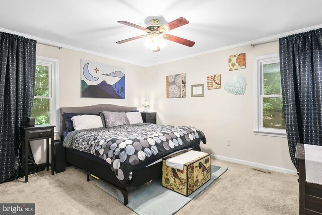 12803 Lee Lake Dr, Spotsylvania, VA 22551 - photo 12