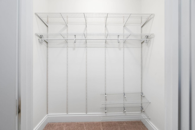 1767 Goose Creek Rd, Waynesboro, VA 22980 - spacious closet with carpet floors