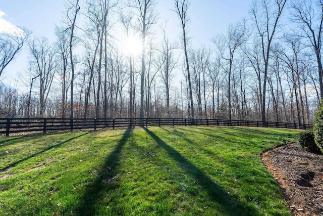 1767 Goose Creek Rd, Waynesboro, VA 22980 - view of yard