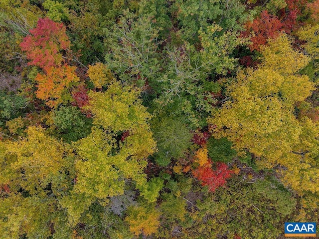 0 Chestnut Grove Rd, Esmont, VA 22937