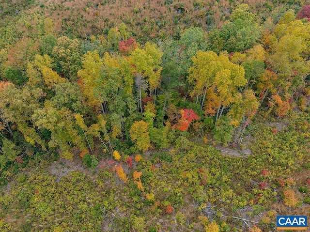 0 Chestnut Grove Rd, Esmont, VA 22937