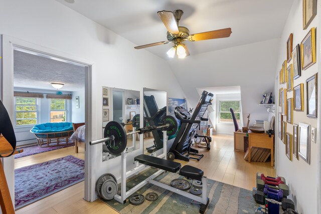 633 Wayne Ave S, Waynesboro, VA 22980 - exercise area featuring wood finished floors, vaulted ceiling, a ceiling fan, and baseboard heating