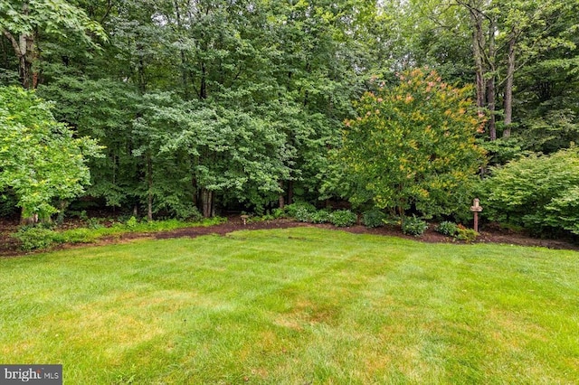 3905 Corbin Hall Ln, Fredericksburg, VA 22408 - view of grassy yard