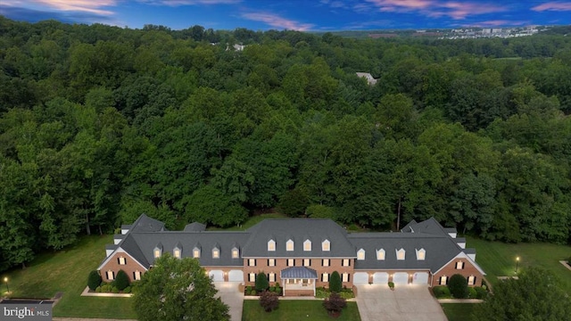3905 Corbin Hall Ln, Fredericksburg, VA 22408 - view of subject property featuring a heavily wooded area