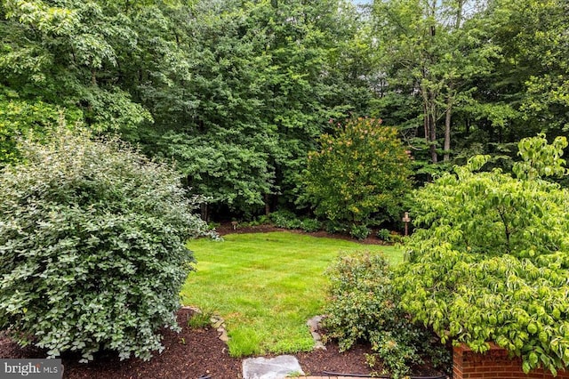 3905 Corbin Hall Ln, Fredericksburg, VA 22408 - view of grassy yard