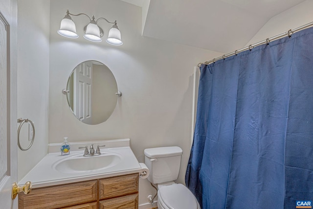 1130 Race Ground Rd, Rochelle, VA 22738 - full bath with lofted ceiling, toilet, a shower with shower curtain, and vanity