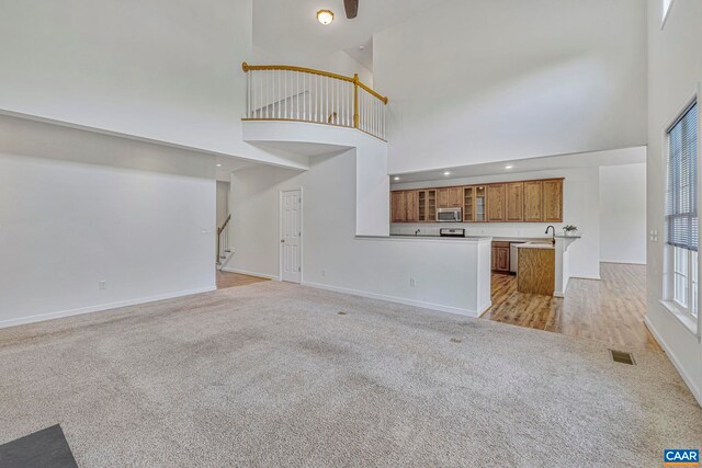 1130 Race Ground Rd, Rochelle, VA 22738 - unfurnished living room with light colored carpet, baseboards, and a towering ceiling