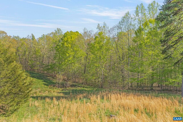 1130 Race Ground Rd, Rochelle, VA 22738 - view of nature featuring a forest view