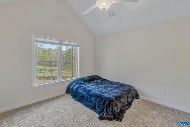 1130 Race Ground Rd, Rochelle, VA 22738 - carpeted bedroom featuring a ceiling fan, baseboards, and lofted ceiling