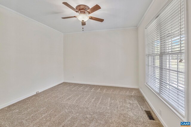 1130 Race Ground Rd, Rochelle, VA 22738 - spare room with a wealth of natural light, carpet flooring, and visible vents