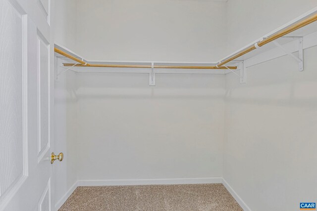 1130 Race Ground Rd, Rochelle, VA 22738 - spacious closet featuring carpet