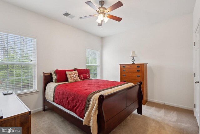 5831 Deep Creek Dr, Fredericksburg, VA 22407 - bedroom featuring multiple windows, light colored carpet, and baseboards