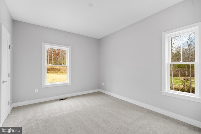 10643 Settle School Rd, Rixeyville, VA 22737 - carpeted spare room featuring baseboards and a healthy amount of sunlight