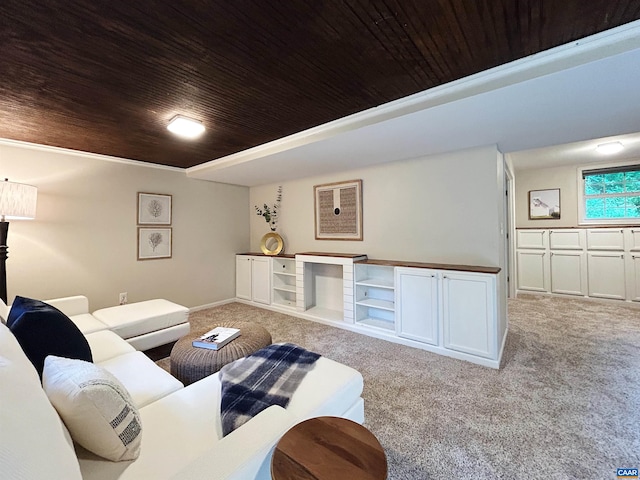 1203 Afton Mountain Rd, Afton, VA 22920 - carpeted living area featuring wood ceiling