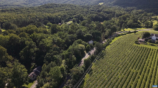 1203 Afton Mountain Rd, Afton, VA 22920 - aerial view of property and surrounding area with a heavily wooded area and rural landscape