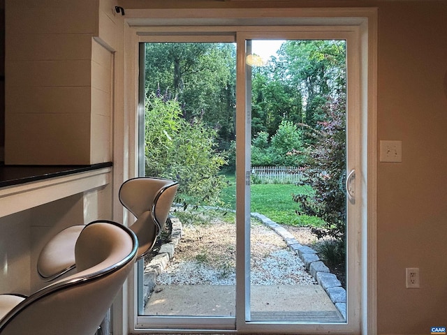 1203 Afton Mountain Rd, Afton, VA 22920 - entryway with healthy amount of natural light
