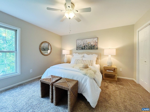 1203 Afton Mountain Rd, Afton, VA 22920 - bedroom with carpet and a ceiling fan