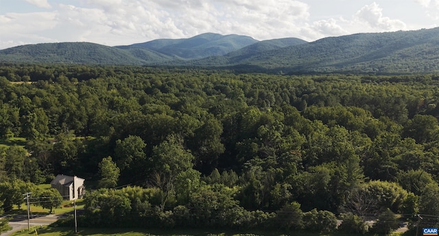 1203 Afton Mountain Rd, Afton, VA 22920 - view of mountain backdrop with a heavily wooded area