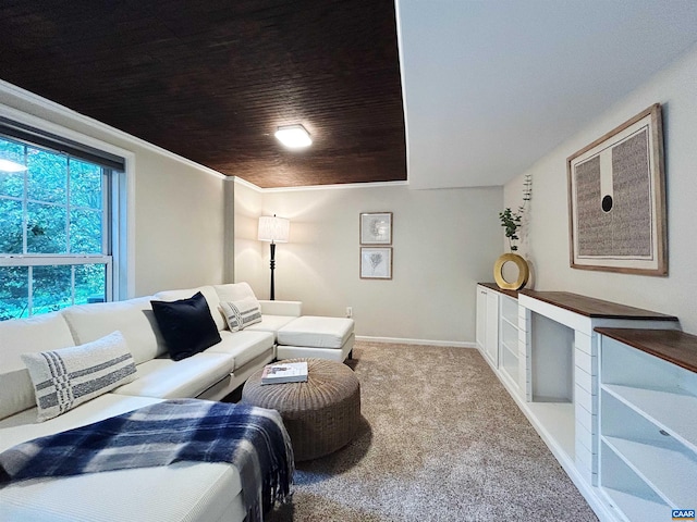 1203 Afton Mountain Rd, Afton, VA 22920 - living room with carpet and wood ceiling