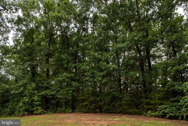 13520 5th Corps Ln, Fredericksburg, VA 22407 - photo 26