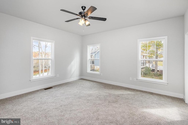 26437 Pennfields Dr, Orange, VA 22960 - empty room with plenty of natural light, baseboards, and carpet