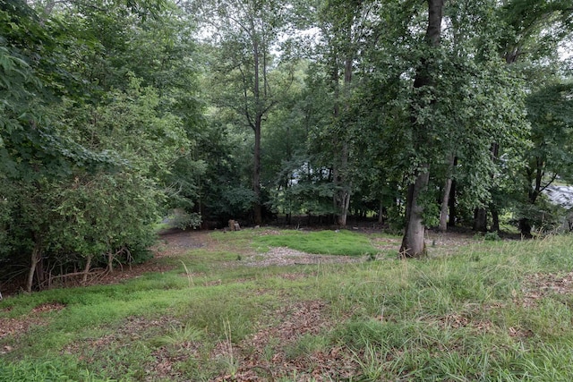 1014 22nd St E, Buena Vista, VA 24416 - view of yard