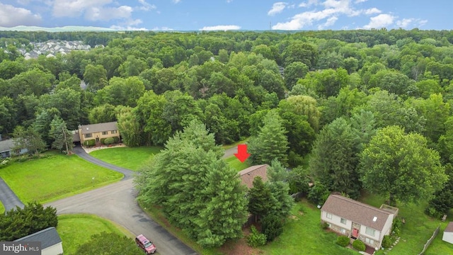  - aerial view of a forest