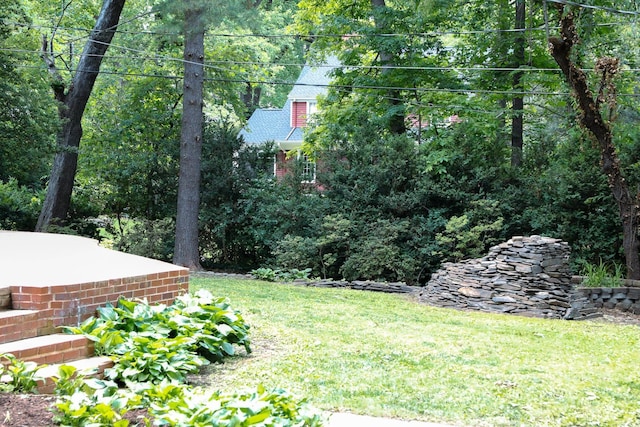 645 Cherry Ave, Waynesboro, VA 22980 - view of grassy yard