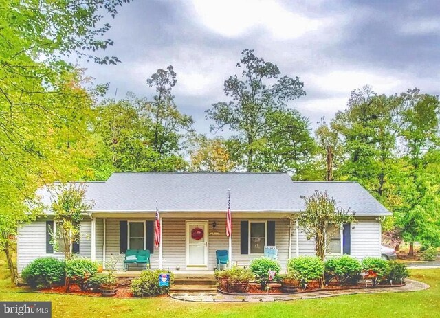 206 Liberty Blvd, Locust Grove, VA 22508 - photo 2