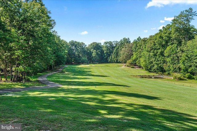 206 Liberty Blvd, Locust Grove, VA 22508 - photo 20