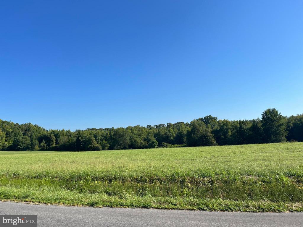 610 Holland Creek Rd, Louisa, VA 23093