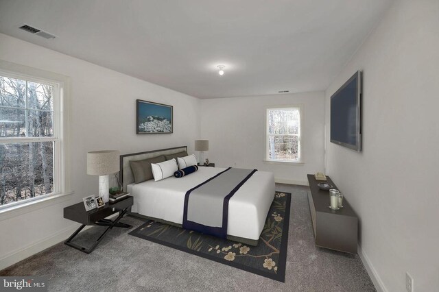  - carpeted bedroom with baseboards