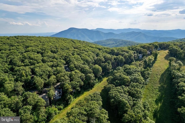 93 Tyro Ln, Roseland, VA 22967 - view of mountain background featuring a heavily wooded area